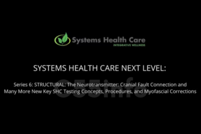 systems-health-care-next-level-series-6-by-stephen-gangemi