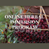 online-herbal-immersion-program