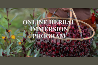 online-herbal-immersion-program