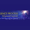 the-emergence-process-advanced-practicum-with-patricia-ellsberg