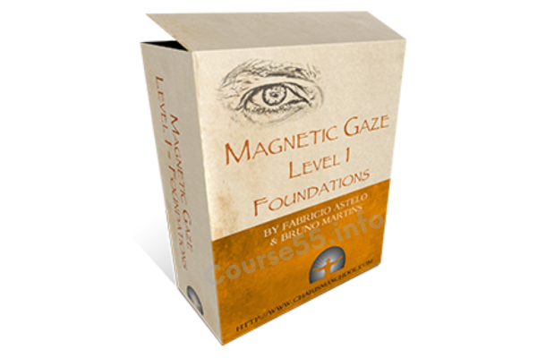 magnetic-gaze-level-1-foundations-by-fabricio-astelo-bruno-martins-free-download