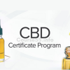 cbd-certificate-program-by-green-flower-free-download