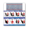 wing-tsun-bundle-vol-1-11-by-sifu-niko