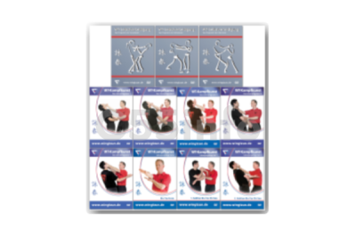 wing-tsun-bundle-vol-1-11-by-sifu-niko