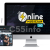 the-online-musician-3-0-by-leah-mchenry