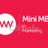 mini-mba-in-marketing-by-mark-ritson
