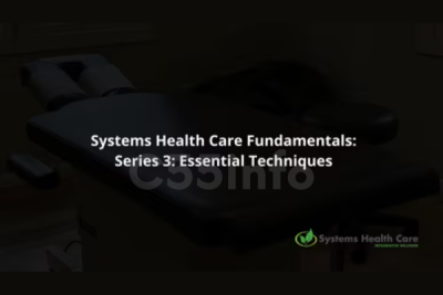 systems-health-care-fundamentals-series-3-by-stephen-gangemi