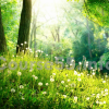 compost-tea-by-elaine-ingham