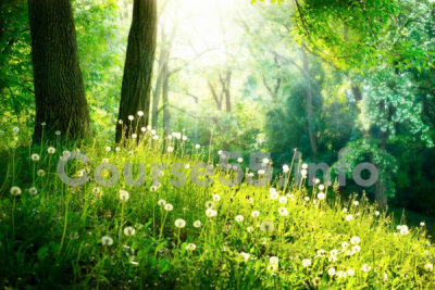 compost-tea-by-elaine-ingham