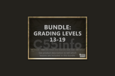 bundle-the-complete-wtd-system-sifu-master-levels-by-sifu-fernandez