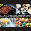 the-alpha-energy-nutrition-course-by-menelite