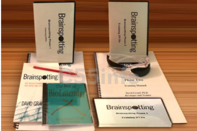 brainspotting-phase-1-2-and-3-dvds-by-david-grand