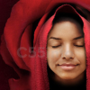 mary-magdalene-the-sacred-way-of-the-rose-by-elayne-kalila-doughty