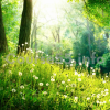 compost-class-by-elaine-ingham