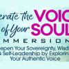liberate-the-voice-of-your-soul-immersion-by-chloe-goodchild