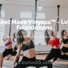 steel-mace-vinyasa-lvl-1-foundations-by-summer-huntington