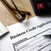 how-to-build-business-credit-webinar-by-mychel-snoop-dillard-free-download