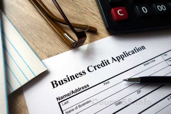 how-to-build-business-credit-webinar-by-mychel-snoop-dillard-free-download