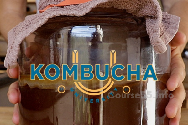 kombuchau-by-michael-greenfield-free-download