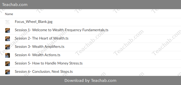 wealth-frequency-fundamentals-by-jesse-elder