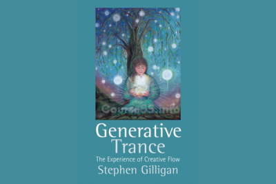 generative-trance-12-days-seminar-2017-by-stephen-gilligan