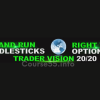 bullish-continuation-patterns-by-rick-saddler-free-download