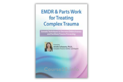 emdr-parts-work-for-treating-complex-trauma-somatic-techniques-to-decrease-defensiveness-and-facilitate-trauma-processing-by-arielle-schwartz-free-download