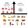 the-vertical-diet-3-0-by-stan-efferding-free-download