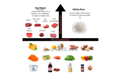 the-vertical-diet-3-0-by-stan-efferding-free-download