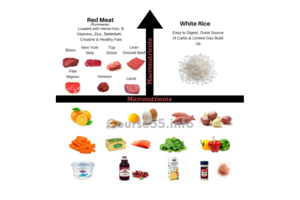 the-vertical-diet-3-0-by-stan-efferding-free-download
