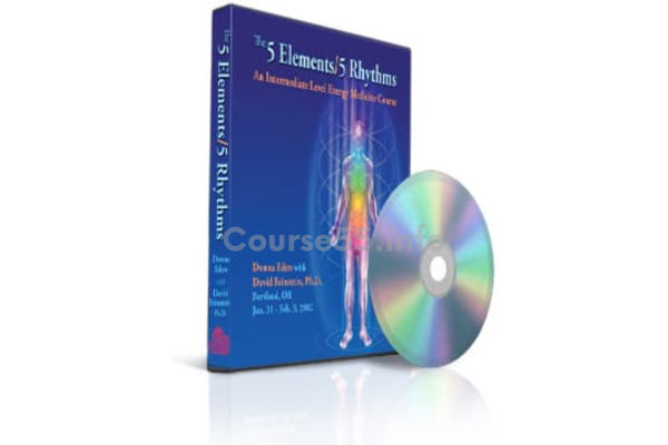 the-5-elements-5-rhythms-the-drummers-to-which-you-by-donna-eden-and-david-feinstein-free-download