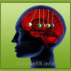 salesbrain-neuromarketing-training-by-christophe-morin-free-download
