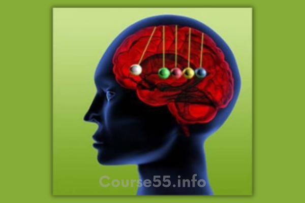 salesbrain-neuromarketing-training-by-christophe-morin-free-download
