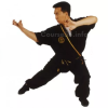 tiger-claw-kung-fu-series-vol-1-2-5-6-by-tak-wah-eng-free-download