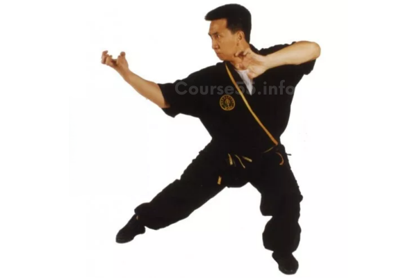 tiger-claw-kung-fu-series-vol-1-2-5-6-by-tak-wah-eng-free-download
