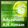 realization-unfolds-by-hameed-ali-adyashanti-free-download