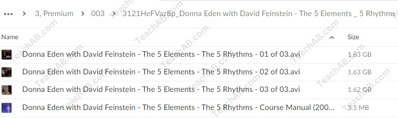 the-5-elements-5-rhythms-the-drummers-to-which-you-by-donna-eden-and-david-feinstein-free-download