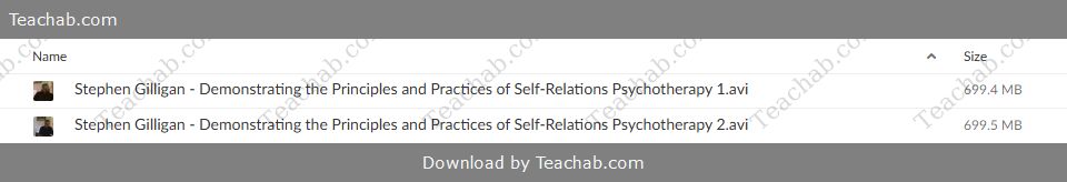 demonstrating-the-principles-and-practices-of-self-relations-psychotherapy-by-stephen-gilligan-free-download