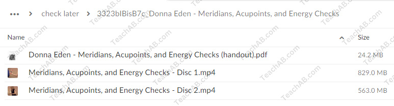meridians-acupoints-and-energy-checks-by-donna-eden-free-download