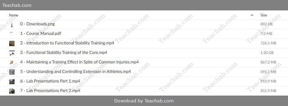 functional-stability-training-for-the-core-by-mike-reinold-eric-cressey-free-download