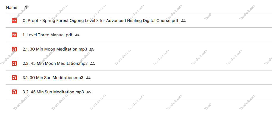 spring-forest-qigong-level-3-complete-personal-study-program-by-chunyi-lin-free-download