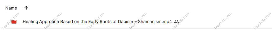 healing-approach-based-on-the-early-roots-of-daoism-shamanism-by-jeffrey-yuen-paul-mccarthy-free-download