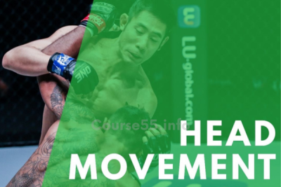 head-movement-for-combat-sports-by-jeff-chan-free-download
