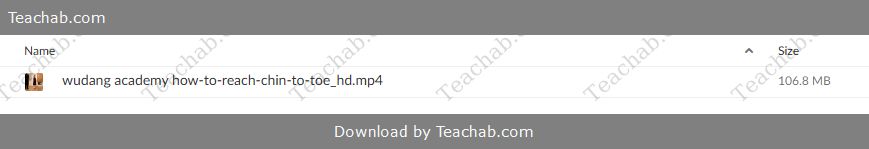 wudang-academy-how-to-chin-to-toe-stretch-free-download