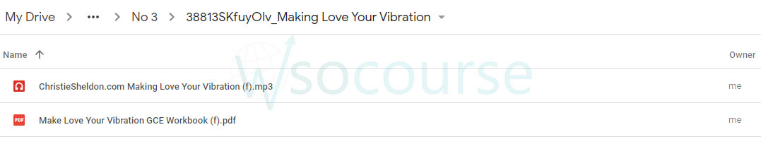 making-love-your-vibration-by-christie-sheldon-free-download