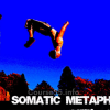 using-somatic-metaphors-training-by-joseph-riggio-free-download