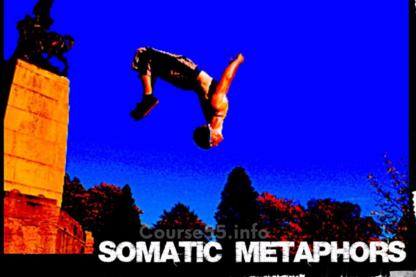 using-somatic-metaphors-training-by-joseph-riggio-free-download