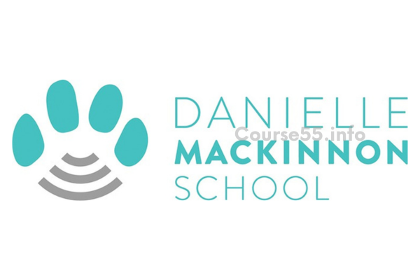 intuition-through-the-soul-package-by-danielle-mackinnon-free-download