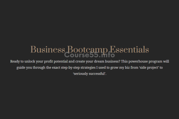 the-ma-academy-business-bootcamp-by-melissa-ambrosini-free-download