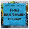 28-day-transformation-challenge-by-alicia-streger-free-download